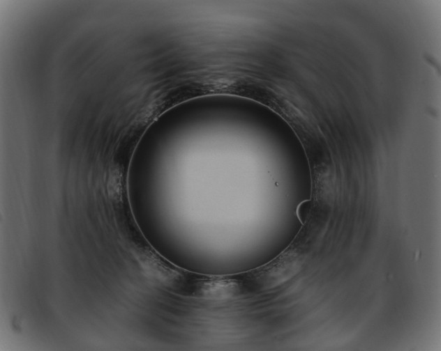 X0000093590274200710151210
