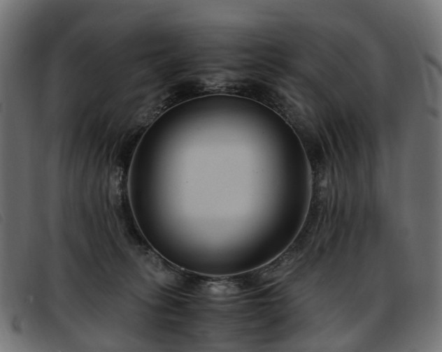 X0000093590275200710151210