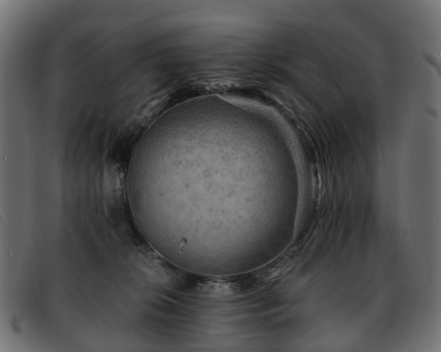 X0000093590276200710151210