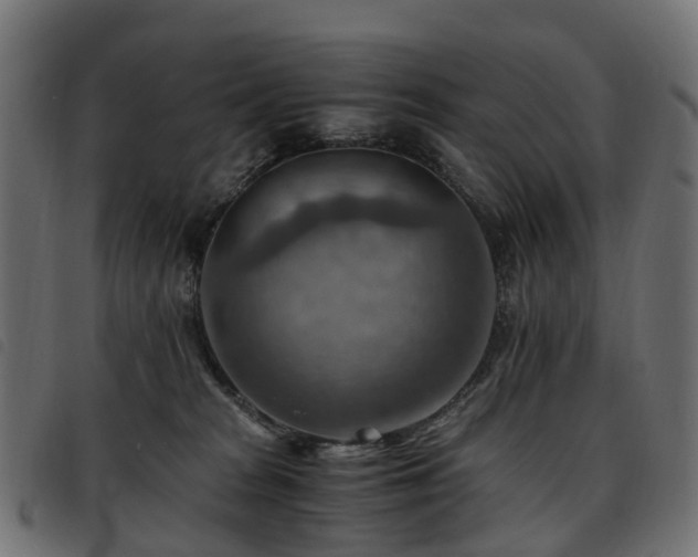 X0000093590277200710151210