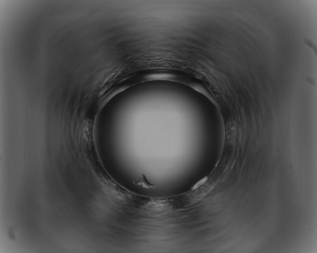 X0000093590280200710151210