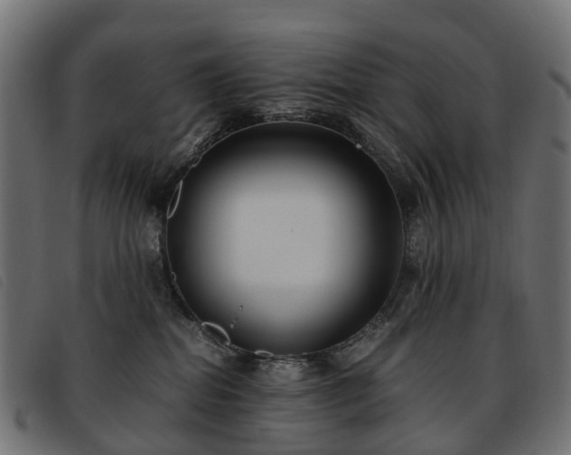 X0000093590282200710151210