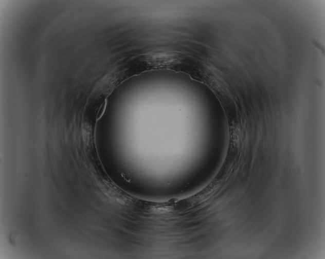 X0000093590283200710151210