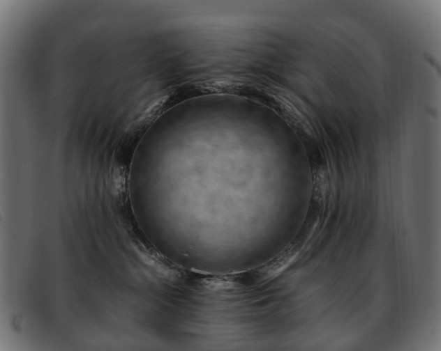 X0000093590284200710151210