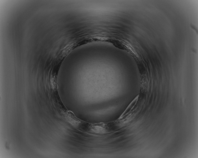 X0000093590285200710151210