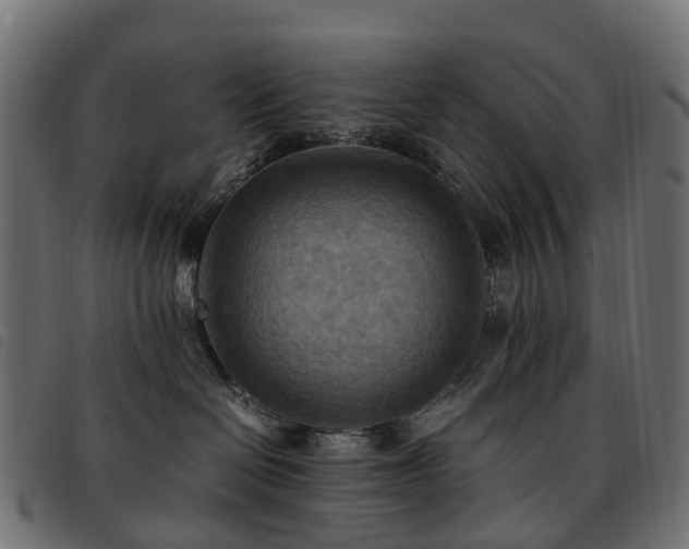 X0000093590286200710151210