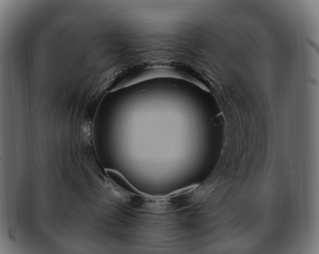 X0000093590288200710151210