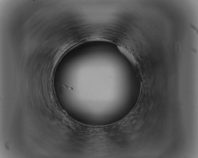 X0000093590289200710151210