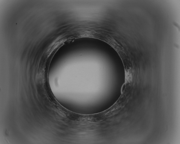 X0000093590291200710151210