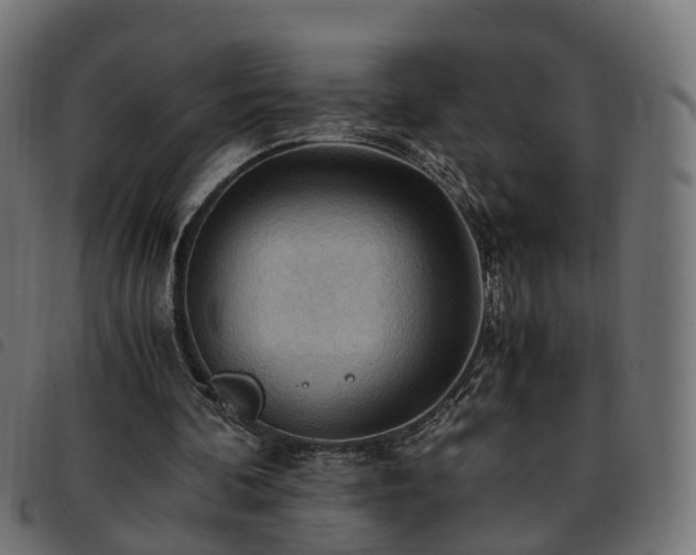 X0000093590292200710151210