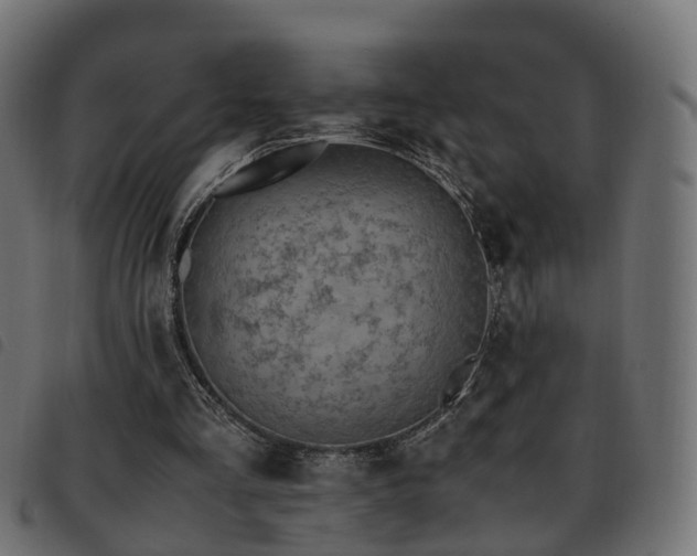 X0000093590293200710151210