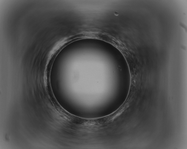 X0000093590294200710151209