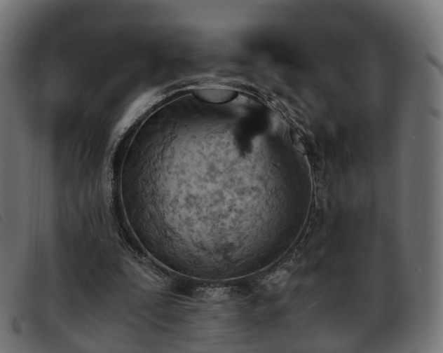 X0000093590295200710151209