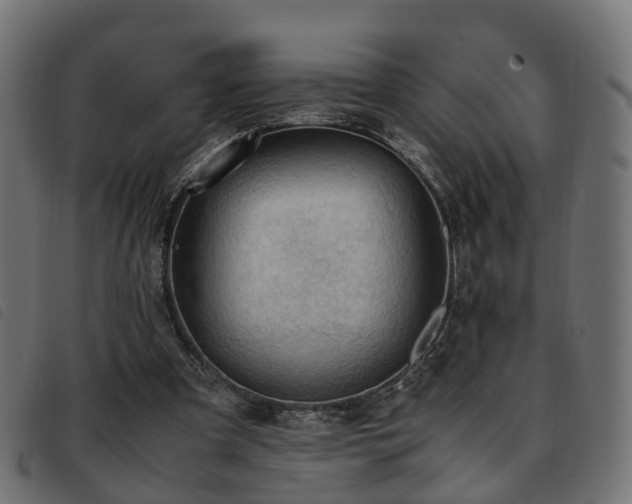 X0000093590297200710151209