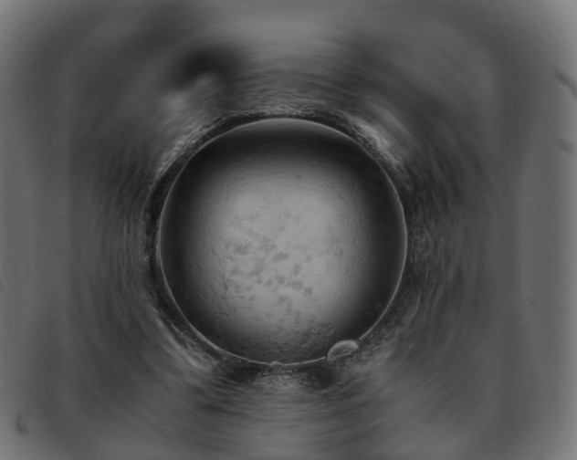 X0000093590299200710151209