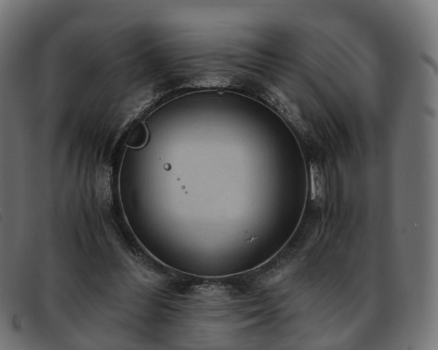 X0000093590300200710151209