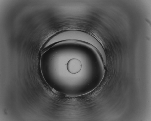 X0000093590301200710151209
