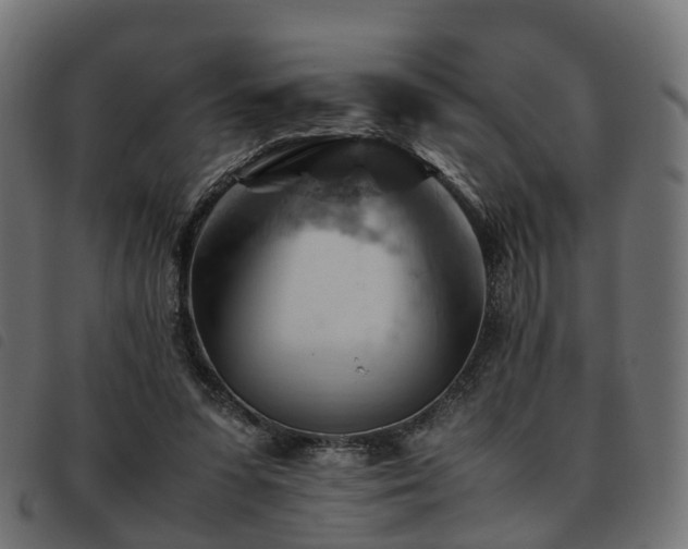 X0000093590303200710151209