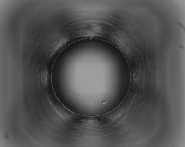 X0000093590304200710151209