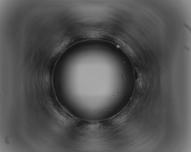 X0000093590306200710151209