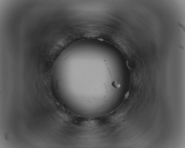 X0000093590307200710151209