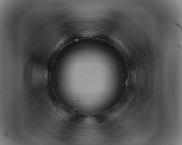 X0000093590308200710151209