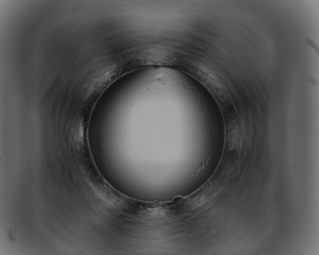 X0000093590310200710151209