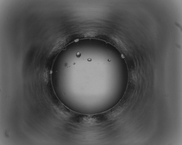 X0000093590311200710151209