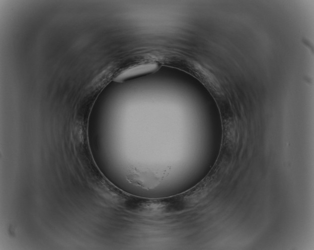 X0000093590313200710151209