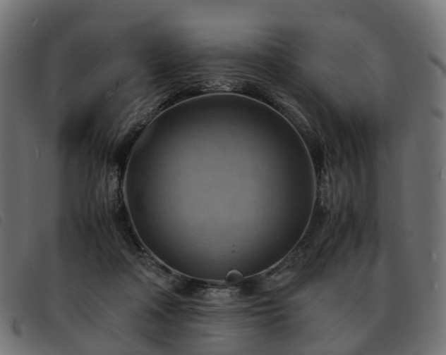 X0000093590314200710151209