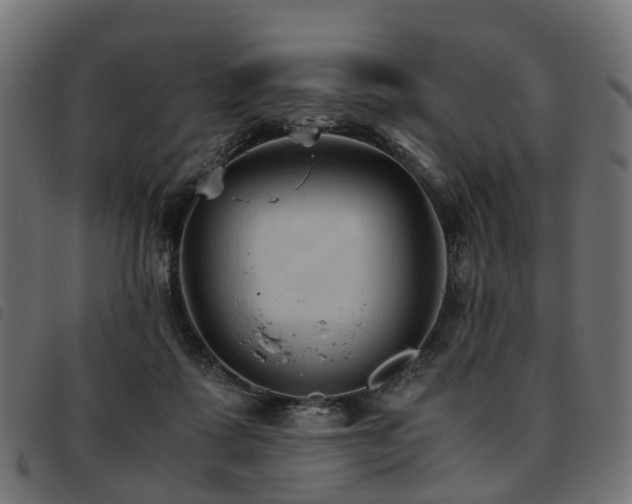 X0000093590315200710151209