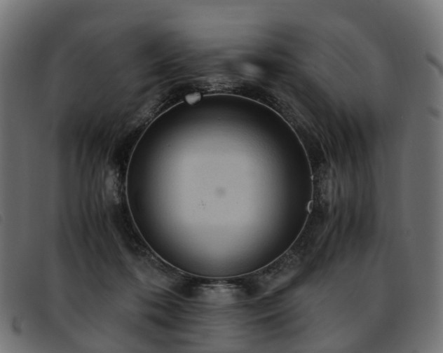 X0000093590316200710151209