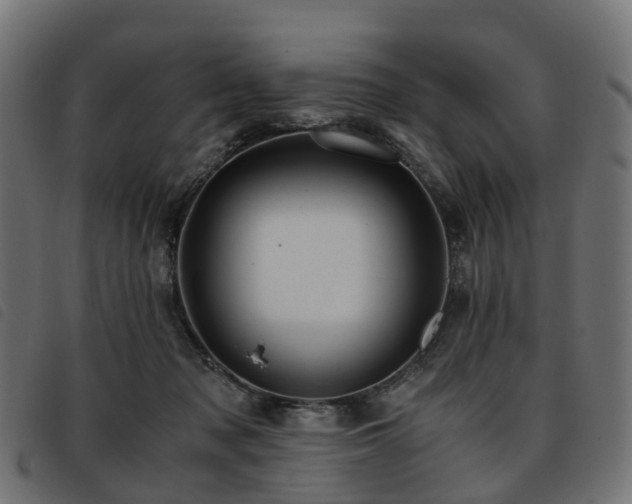 X0000093590317200710151209
