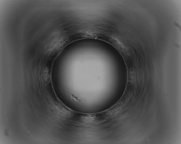 X0000093590318200710151209