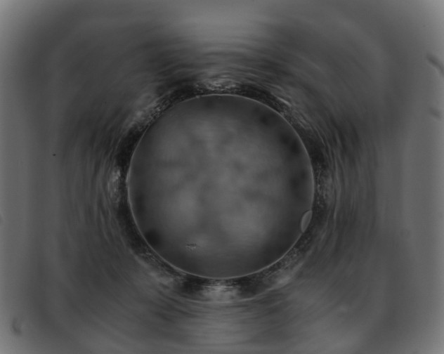 X0000093590319200710151209