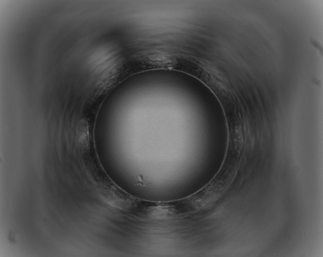 X0000093590320200710151209
