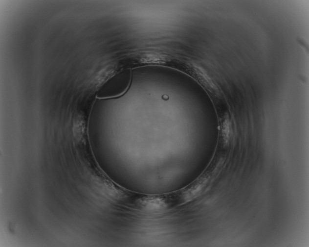 X0000093590322200710151209