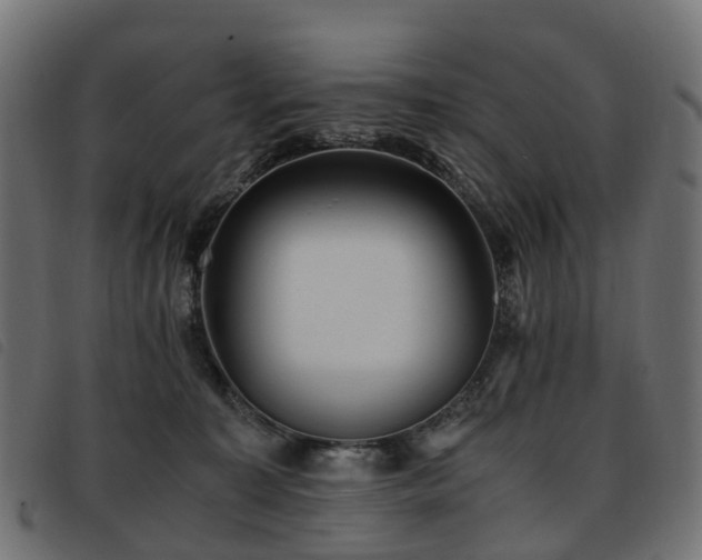 X0000093590323200710151209