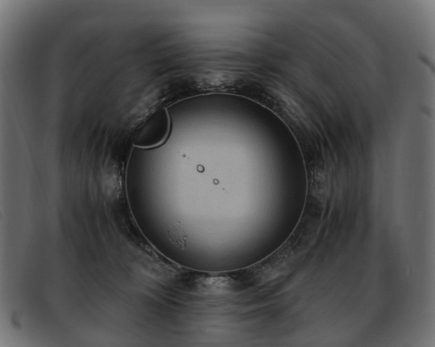 X0000093590324200710151209