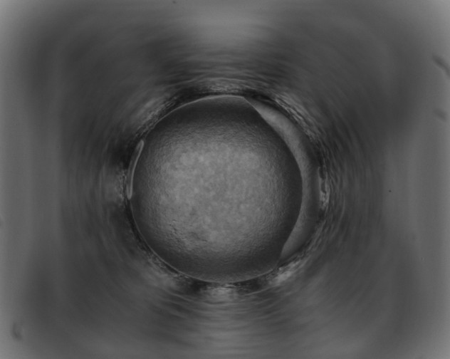 X0000093590325200710151209