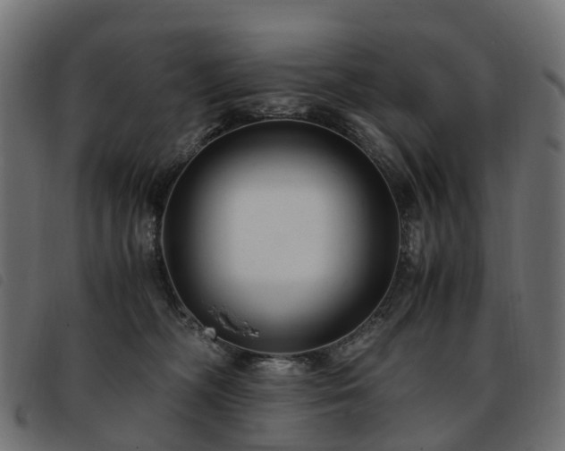 X0000093590326200710151209