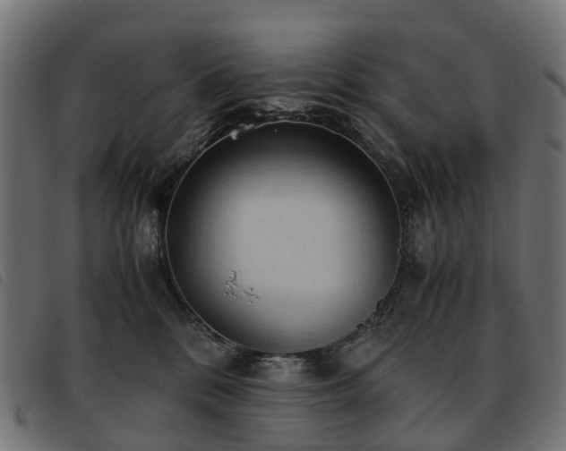 X0000093590328200710151209