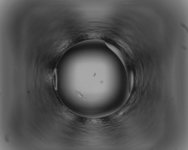 X0000093590329200710151209