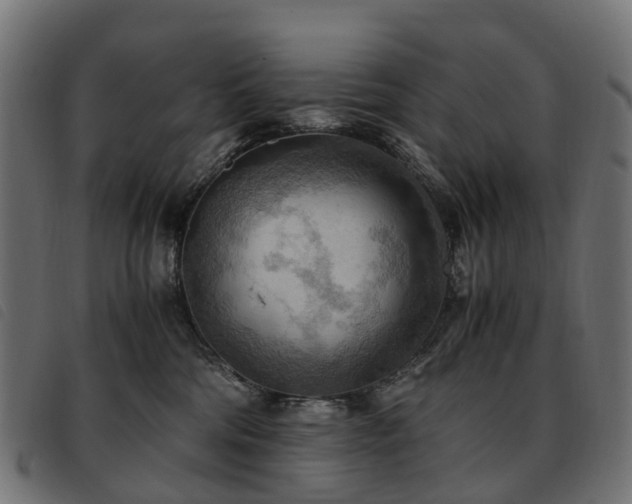 X0000093590330200710151209