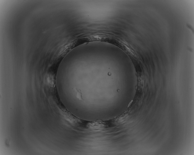 X0000093590331200710151209