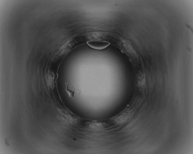X0000093590332200710151209