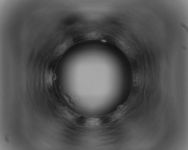 X0000093590334200710151209