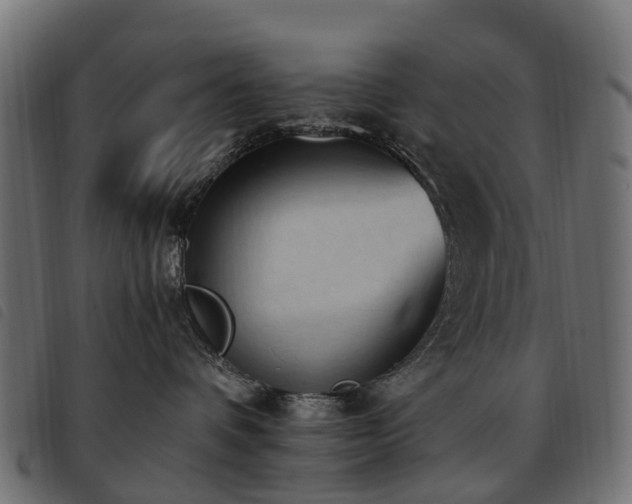 X0000093590336200710151209