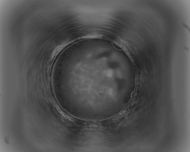 X0000093590337200710151208