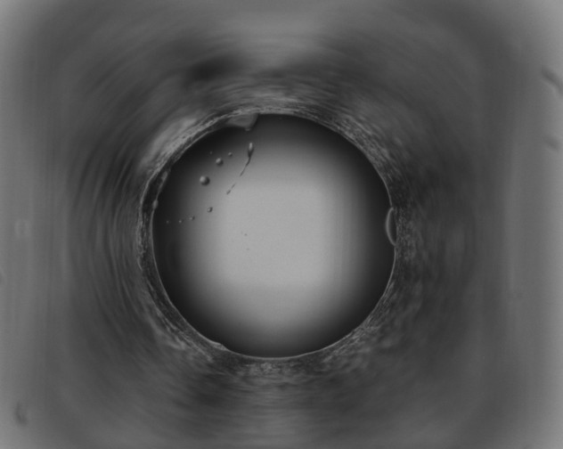 X0000093590338200710151208